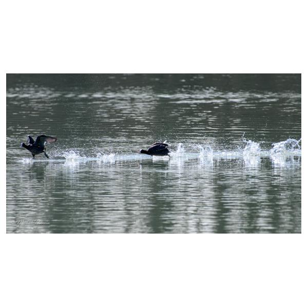 PHOTO84, CLUB, 84 , LUBERON